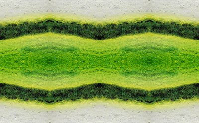 Unnatural 2.1（デジタル処理された写真） 作： Giovanni Cafagna
