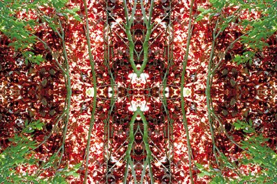 Unnatural 23（デジタル処理された写真） 作： Giovanni Cafagna