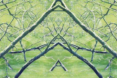 Unnatural 30（デジタル処理された写真） 作： Giovanni Cafagna