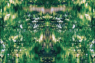 Unnatural 31（デジタル処理された写真） 作： Giovanni Cafagna