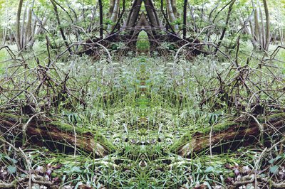 Unnatural 33（デジタル処理された写真） 作： Giovanni Cafagna