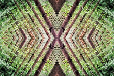 Unnatural 37（デジタル処理された写真） 作： Giovanni Cafagna