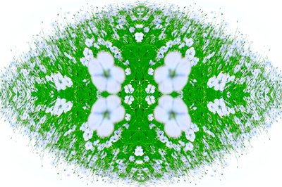 Unnatural 37（デジタル処理された写真） 作： Giovanni Cafagna