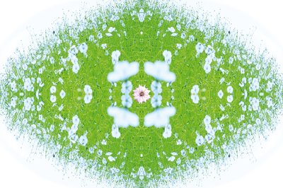 Unnatural 37（デジタル処理された写真） 作： Giovanni Cafagna