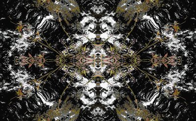 Unnatural 37（デジタル処理された写真） 作： Giovanni Cafagna