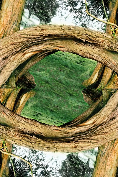 Unnatural 37（デジタル処理された写真） 作： Giovanni Cafagna