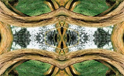Unnatural 37（デジタル処理された写真） 作： Giovanni Cafagna