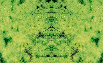 Unnatural 3（デジタル処理された写真） 作： Giovanni Cafagna