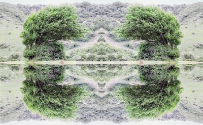 Unnatural 40（デジタル処理された写真） 作： Giovanni Cafagna