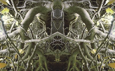 Unnatural 41（デジタル処理された写真） 作： Giovanni Cafagna