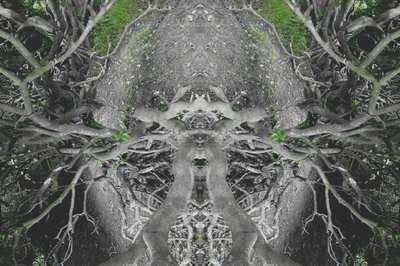 Unnatural 42（デジタル処理された写真） 作： Giovanni Cafagna