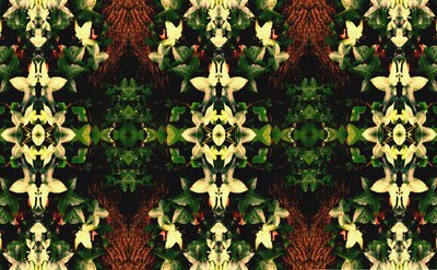 Unnatural 43（デジタル処理された写真） 作： Giovanni Cafagna