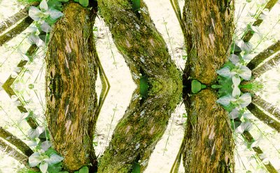 Unnatural 45（デジタル操作された写真） 作： Giovanni Cafagna
