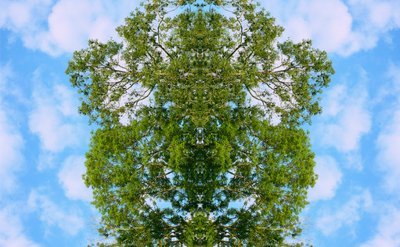 Unnatural 46（デジタル処理された写真） 作： Giovanni Cafagna