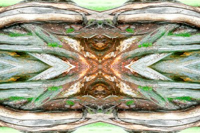 Unnatural 64（デジタル処理された写真） 作： Giovanni Cafagna