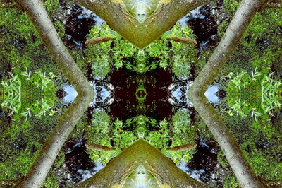 不自然な65.3（デジタル処理された写真） 作： Giovanni Cafagna