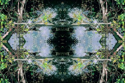 Unnatural 73（デジタル処理された写真） 作： Giovanni Cafagna
