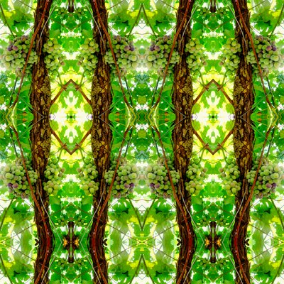Unnatural 74（デジタル処理された写真） 作： Giovanni Cafagna