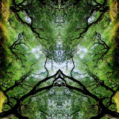 Unnatural 75（デジタル処理された写真） 作： Giovanni Cafagna