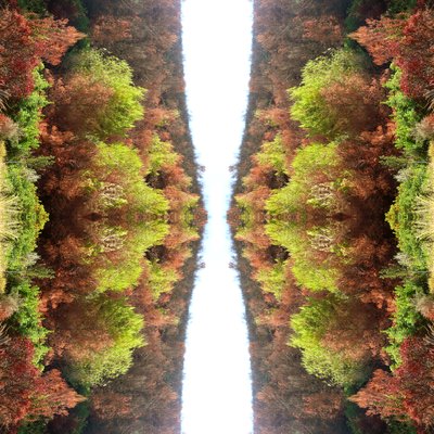 Unnatural 77（デジタル処理された写真） 作： Giovanni Cafagna