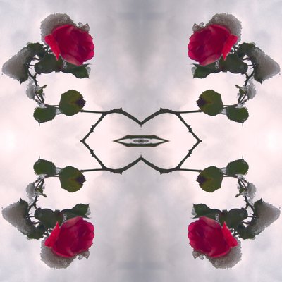 Unnatural 80（デジタル処理された写真） 作： Giovanni Cafagna