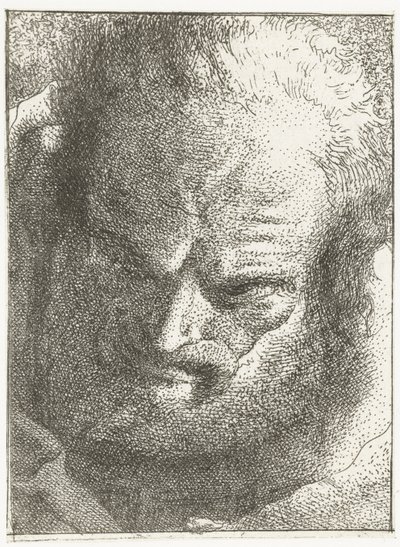 男は下を向く 頭のコレクション（シリーズタイトル） Raccolta di Teste (シリーズタイトル) 作： Giovanni Domenico Tiepolo