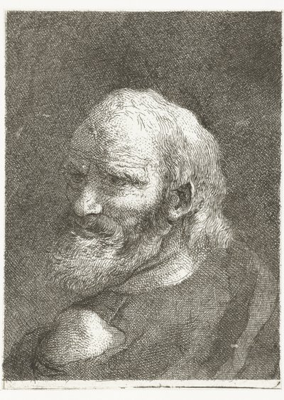 裸の肩を持つ男 頭のコレクション（シリーズタイトル） Raccolta di Teste (シリーズタイトル) 作： Giovanni Domenico Tiepolo