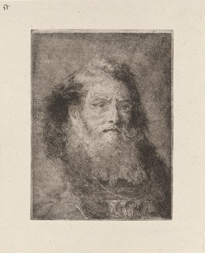 Raccolta di Teste（首のコレクション）からの裸の頭を持つ老人 作： Giovanni Domenico Tiepolo