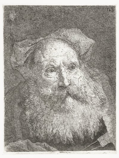 あごひげを生やした老人 頭のコレクション（シリーズタイトル） Raccolta di Teste (シリーズタイトル) 作： Giovanni Domenico Tiepolo