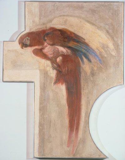 オウム 作： Giovanni Domenico Tiepolo