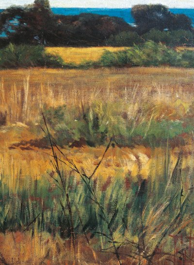 イタリア、フィレンツェ、マレンマ・トスカーナ、1894年頃、詳細 作： Giovanni Fattori