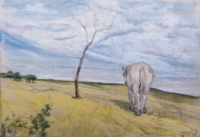 ジョバンニ・ファットーリ（1825-1908）の「白馬」。 作： Giovanni Fattori