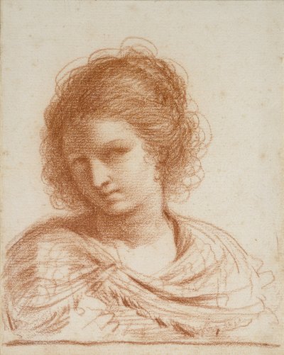 若い女性の頭、1650年-1666年（白い紙に赤いチョーク） 作： Giovanni Francesco Barbieri