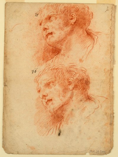 男の頭の後の4つの研究 作： Giovanni Giardini