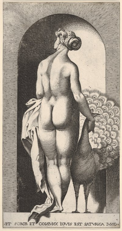 プレート4：後ろから見たニッチな場所に立って、右に孔雀を撫でるジュノー、1526年。 作： Giovanni Jacopo Caraglio