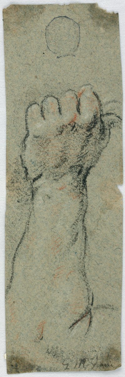 研究: 直立した前腕と何かを持っている左手 作： Giovanni Maria Viani
