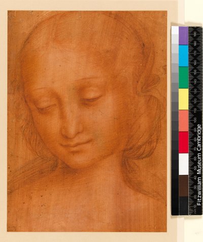 女性の頭部（紙にチョーク） 作： Giovanni Pietro Rizzoli Giampietrino