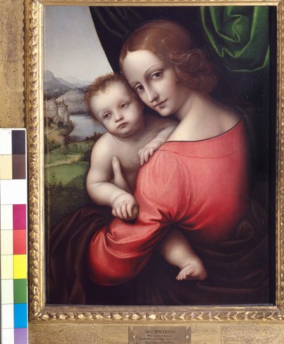 マドンナとチャイルド（リンゴの聖母）、1525年頃（パネルに油彩） 作： Giovanni Pietro Rizzoli Giampietrino