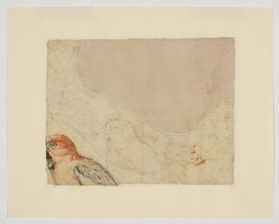 鳥の習作、裏（紙にチョーク 作： Giovanni da Udine (after)