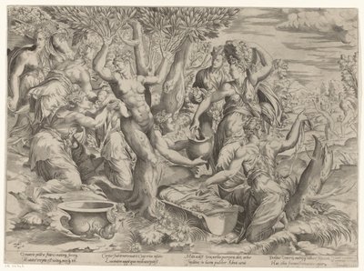 アドニスの誕生 作： Girolamo Fagiuoli (attributed to)