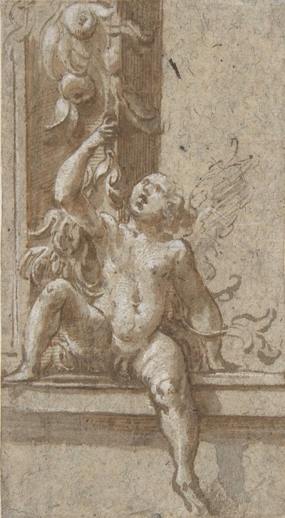 フレームに座ったプット、約。 1538-40。 作： Girolamo Mazzola Bedoli