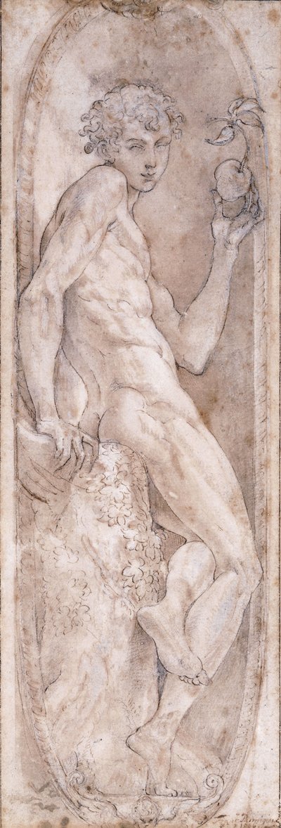 メダリオンに座ったリンゴを持ったアダム、c.1547-1553 作： Girolamo Mazzola Bedoli