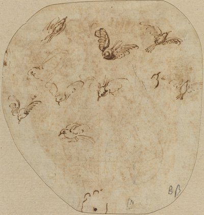 飛行中の鳥 [裏面] 作： Girolamo Mazzola Bedoli