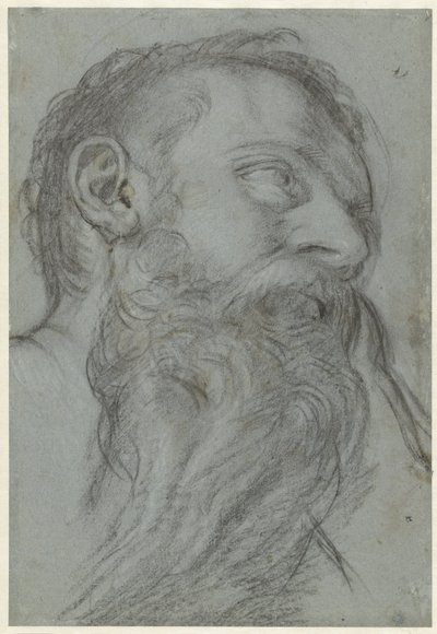 預言者の頭の研究 作： Girolamo Muziano