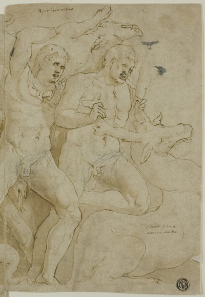 ヘラクレスの労働による古代の石棺のレリーフ 作： Girolamo da Carpi