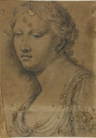女性のバスト 作： Girolamo da Carpi