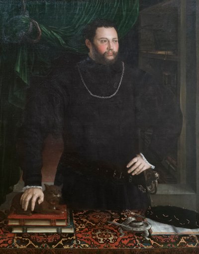 紳士の肖像 作： Girolamo da Carpi