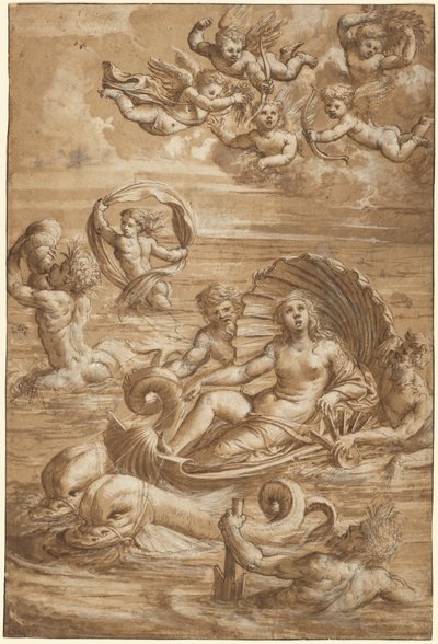 ガラテアの勝利 作： Girolamo da Treviso II