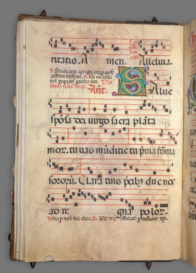 段階的c。 1520。 作： Girolamo dai Libri