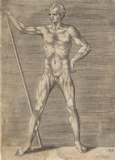 むき出しの男が棒を持って正面から見た、ca. 1531-76。 作： Giulio Bonasone
